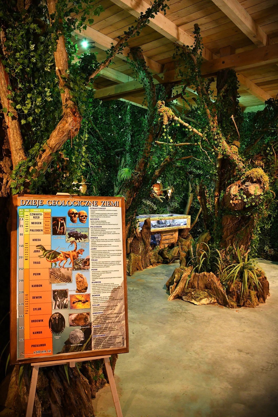 Aranżacja prehistorycznego lasu w muzeum, obok tablica o dziejach geologicznych Ziemi